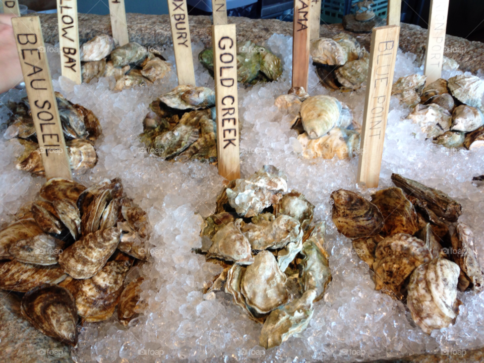 ice seafood oysters maine by bobmanley