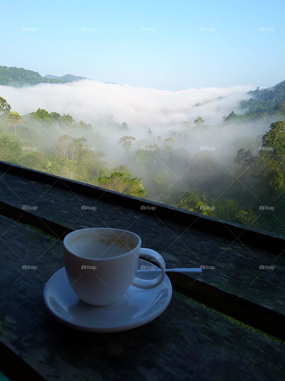 Coffee, Dawn, Hot, No Person, Wood