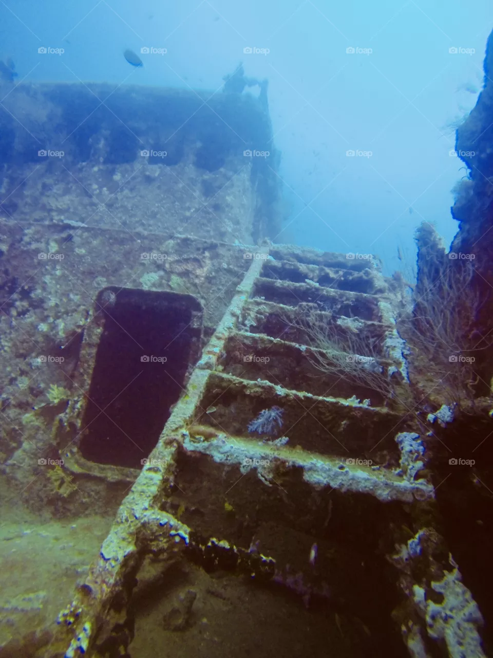 Dive