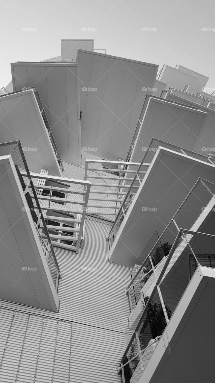 Montpellier der weiße Baum