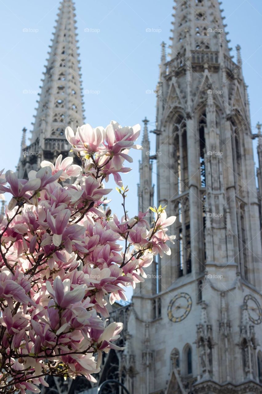 Votive Church, Vienna, Austria