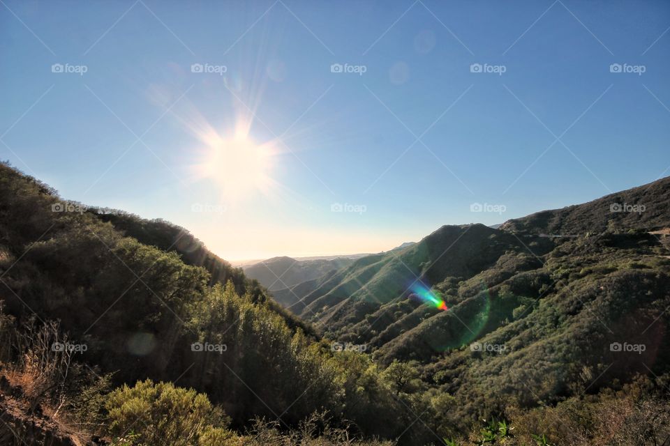 High angle view of nature