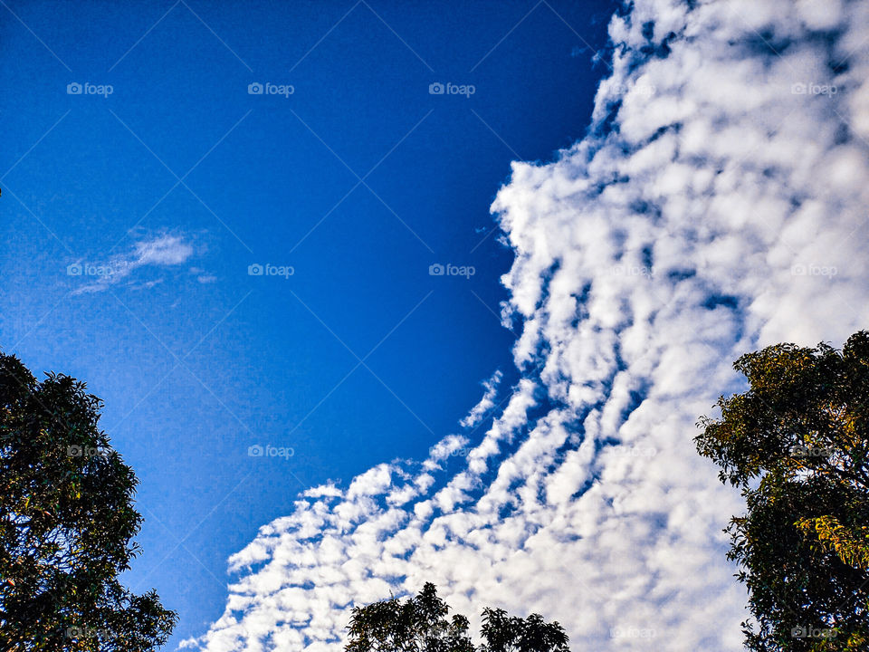 Marshmallow sky 😍