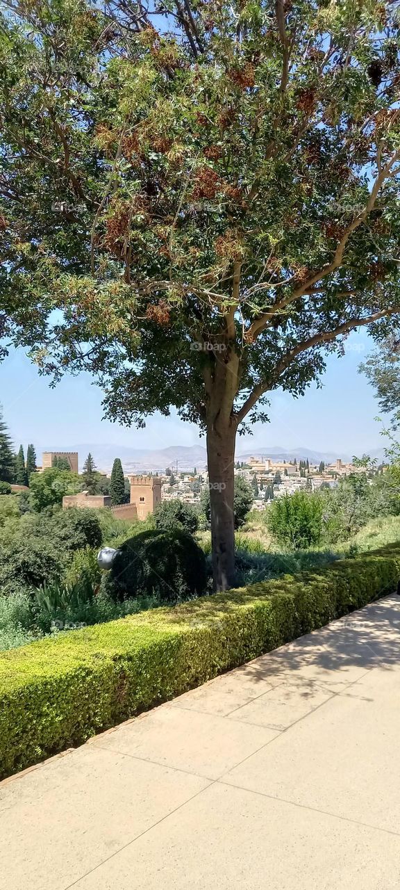 Vistas desde Alhambra