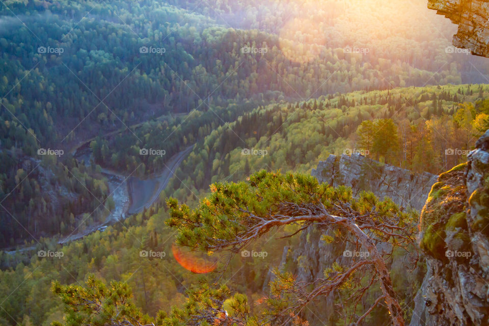 autumn landscape in the morning in the mountains