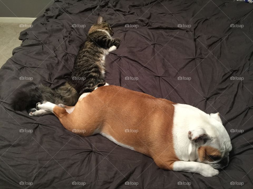 As long as he knows she's there