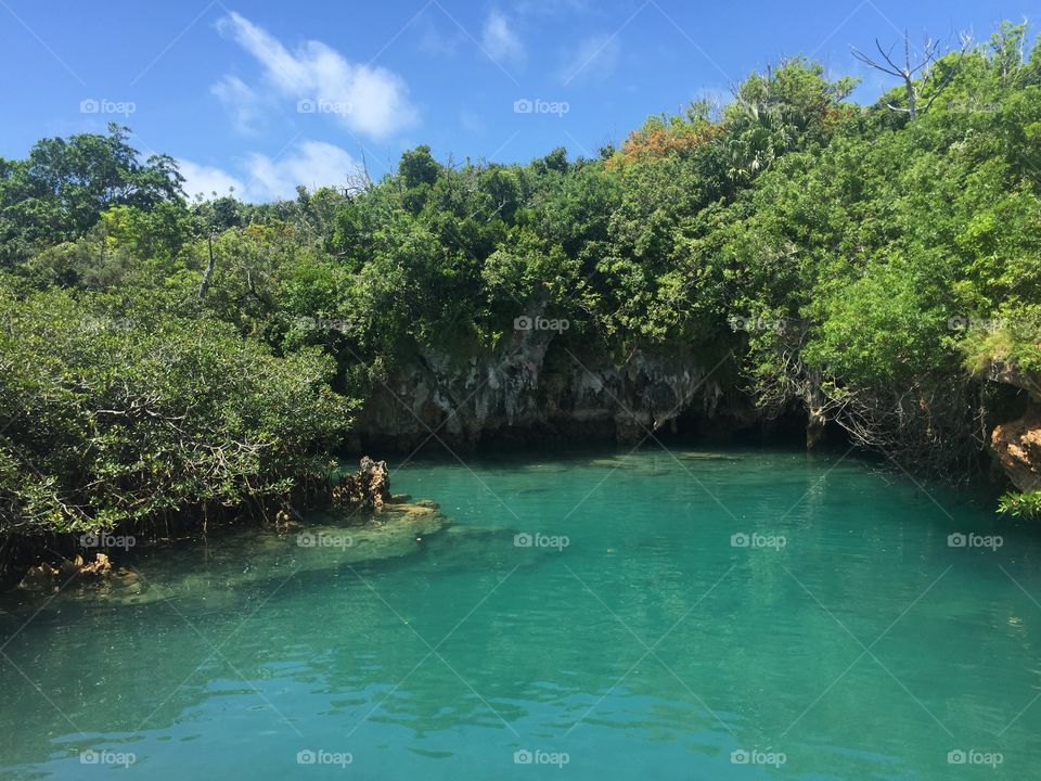 Picture taken of a lagoon in Bermuda