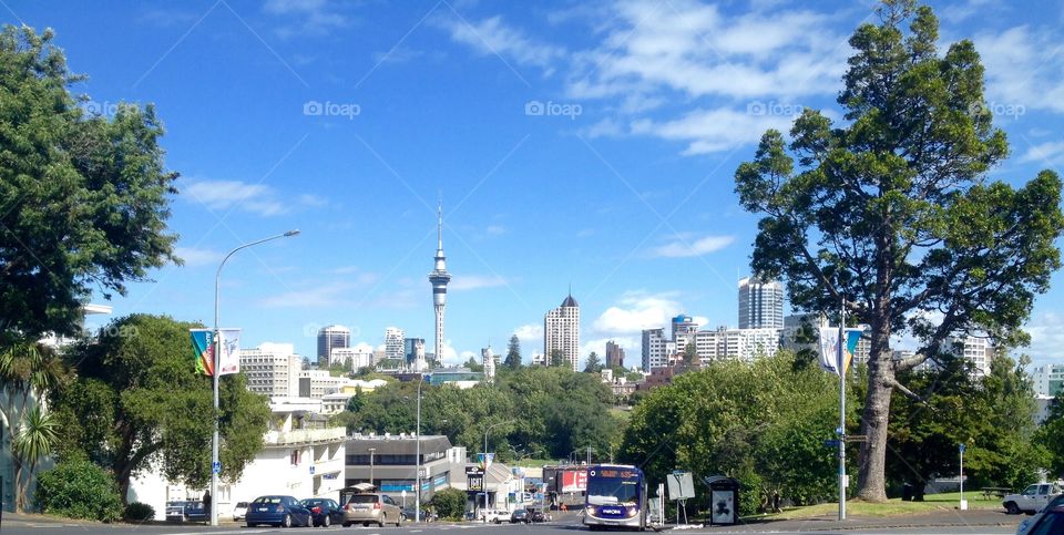 Auckland city 