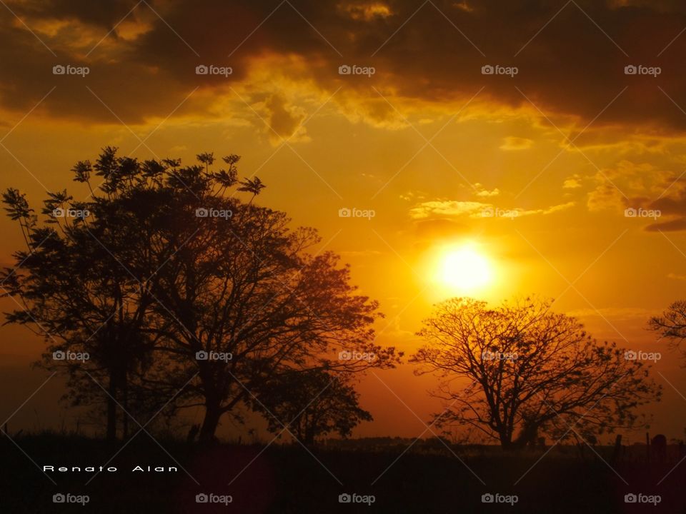 Sunset, Dawn, Sun, Silhouette, Nature