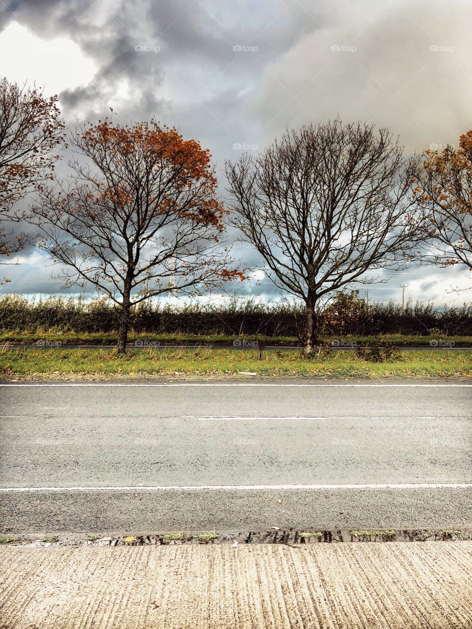 Trees love this picture freckleton bypass uk 🇬🇧
