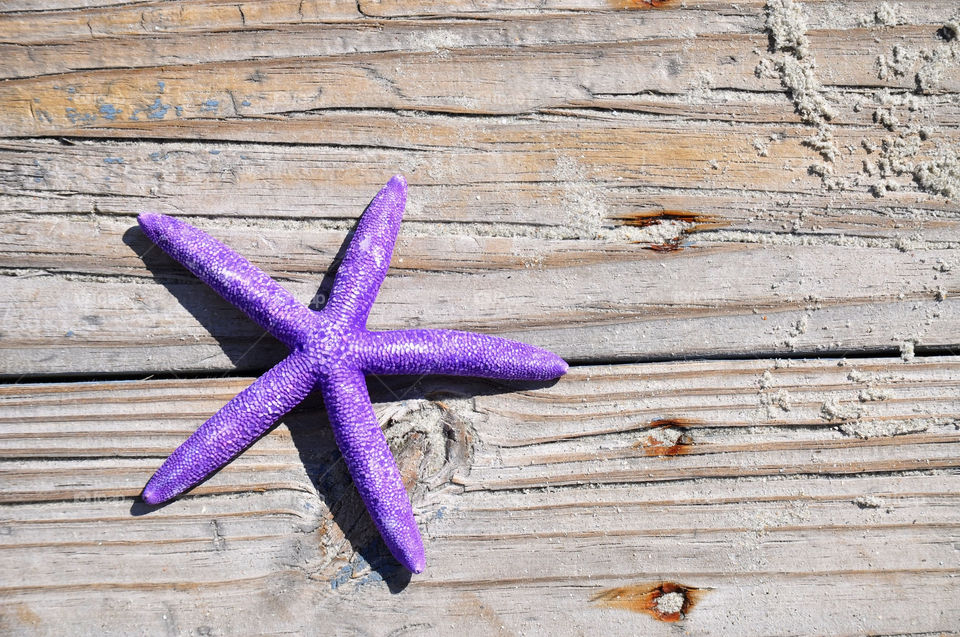Starfish on wooden boardwalk. 