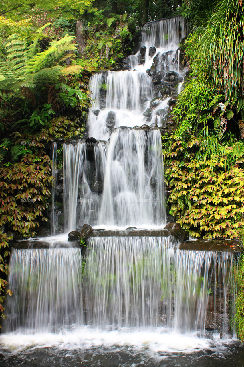 Waterfall in the forest