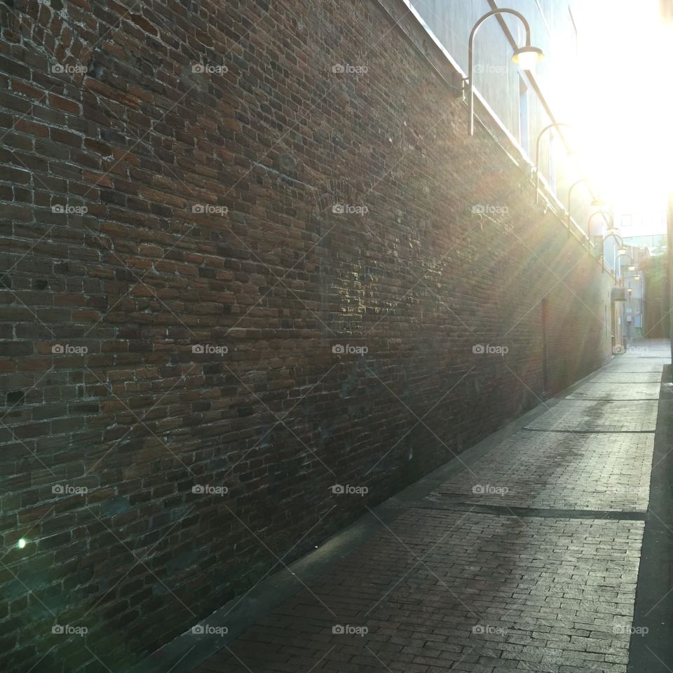 Brick walled alley with morning sunlight. Tallahassee, Florida. 