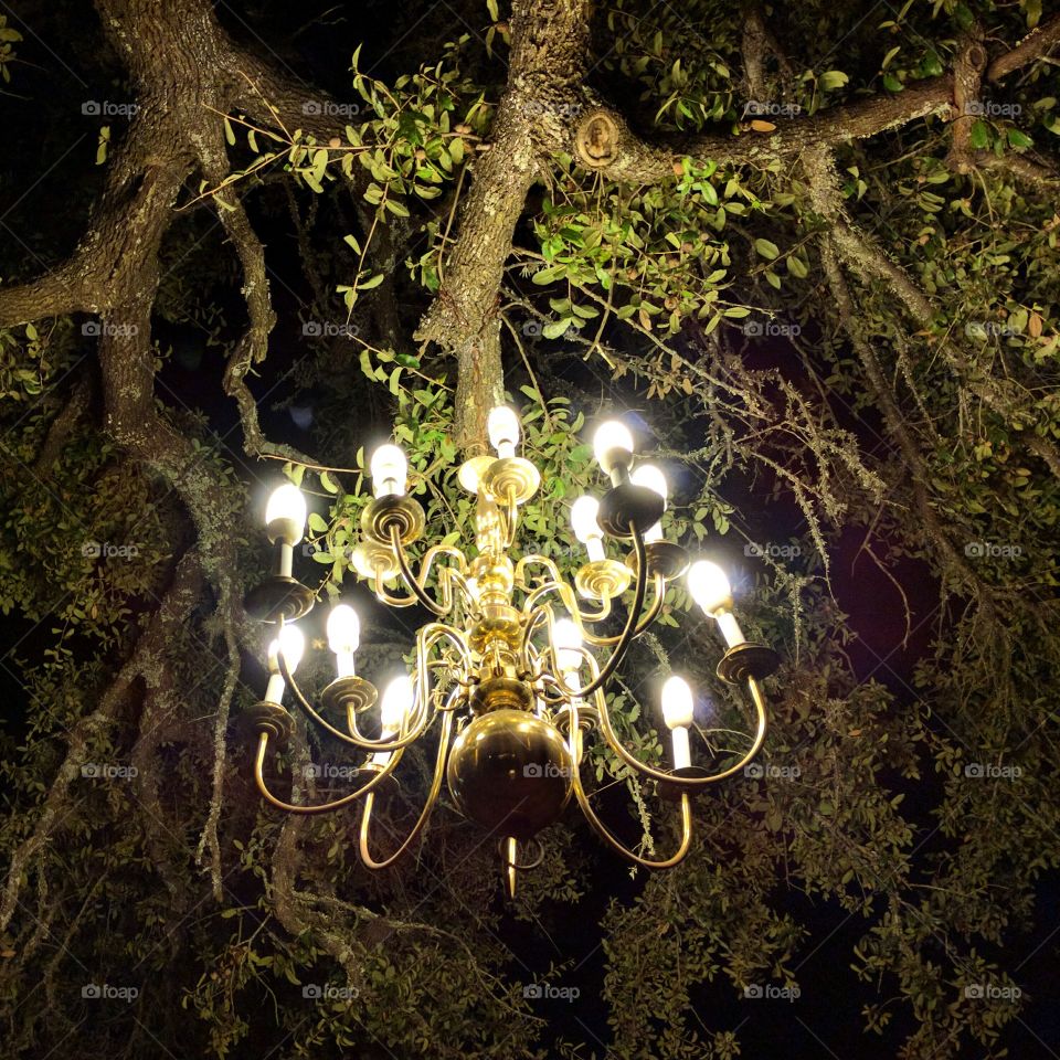 Chandelier in a tree