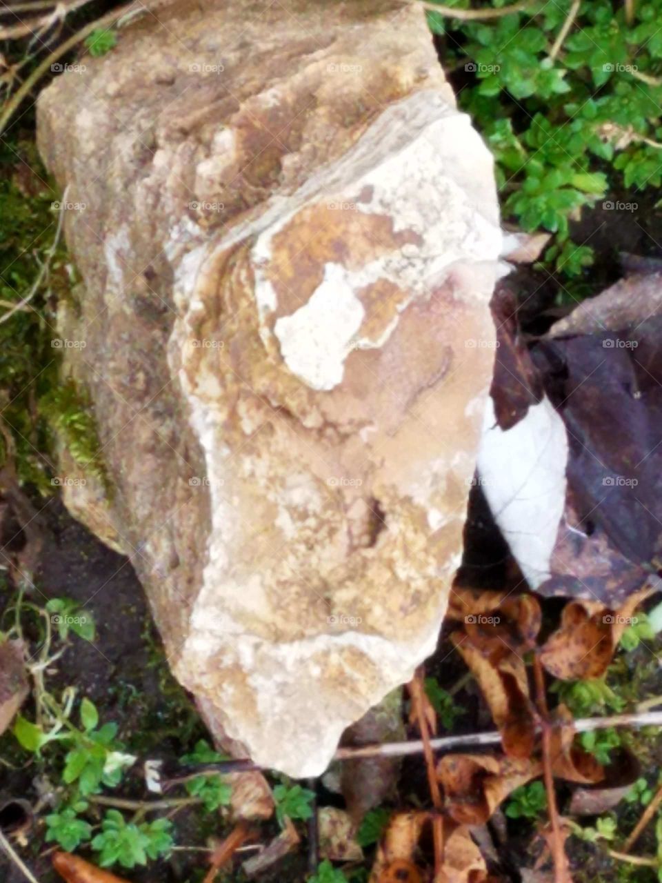 What can we Really see in a Rock