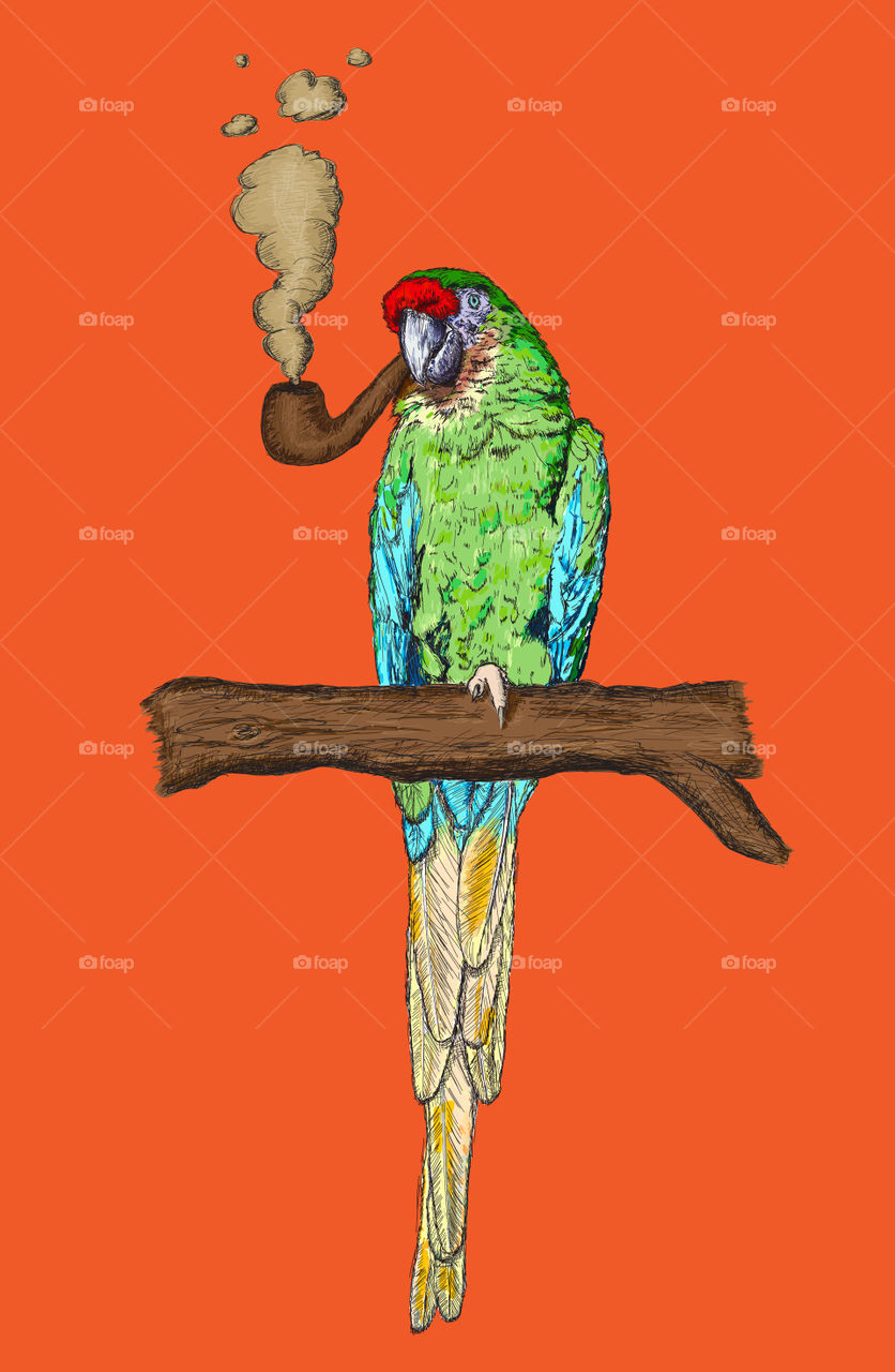 Macaw parrot with smoking pipe. Pollution concept.