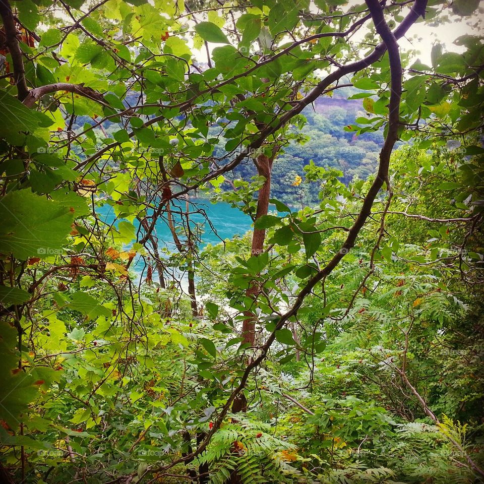 Niagara Falls Gorge