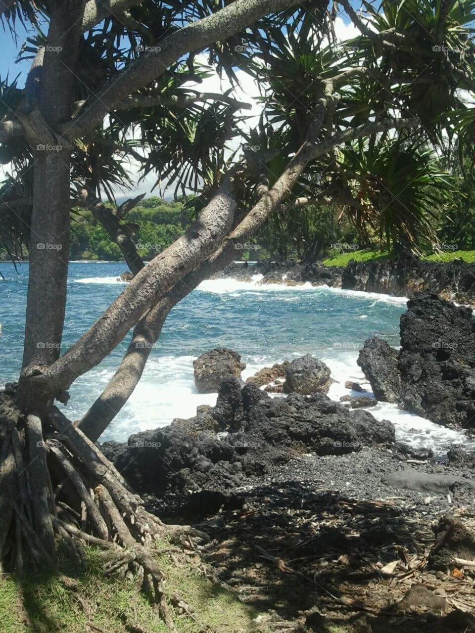 Hawaii ocean