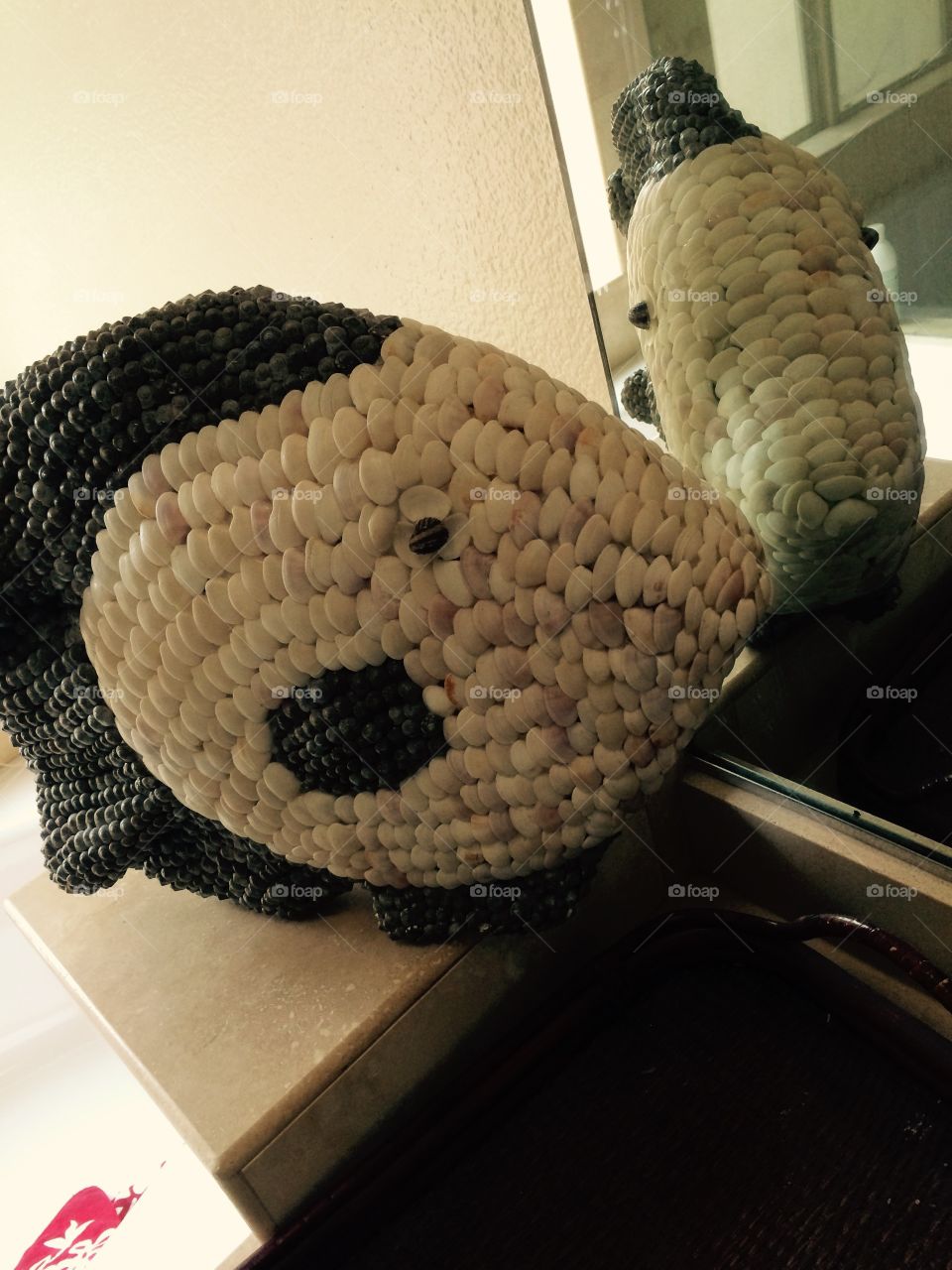 Are you another shell fish?