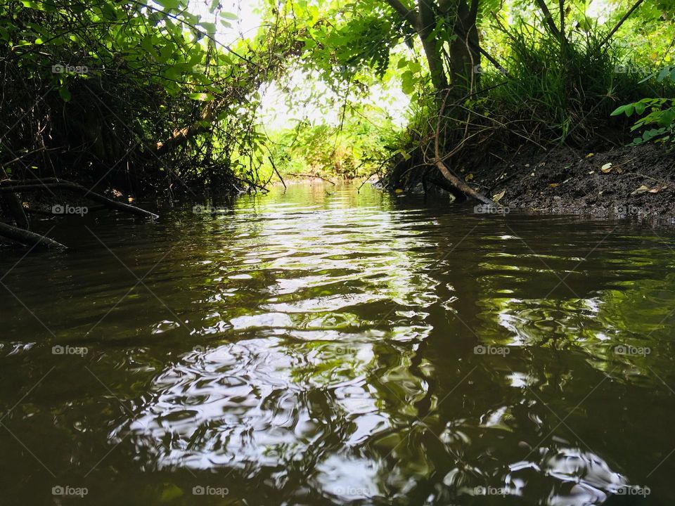 a natural stream of water of fairly large size flowing in a definite course or channel or series of diverging and converging channels.