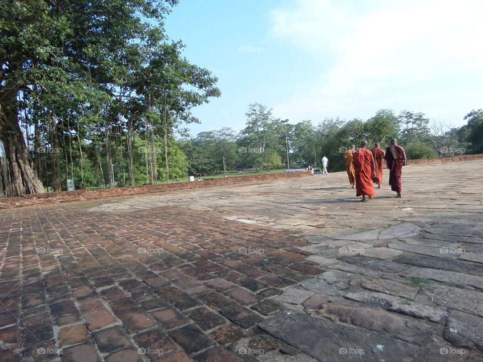 Sl Buddhist monks