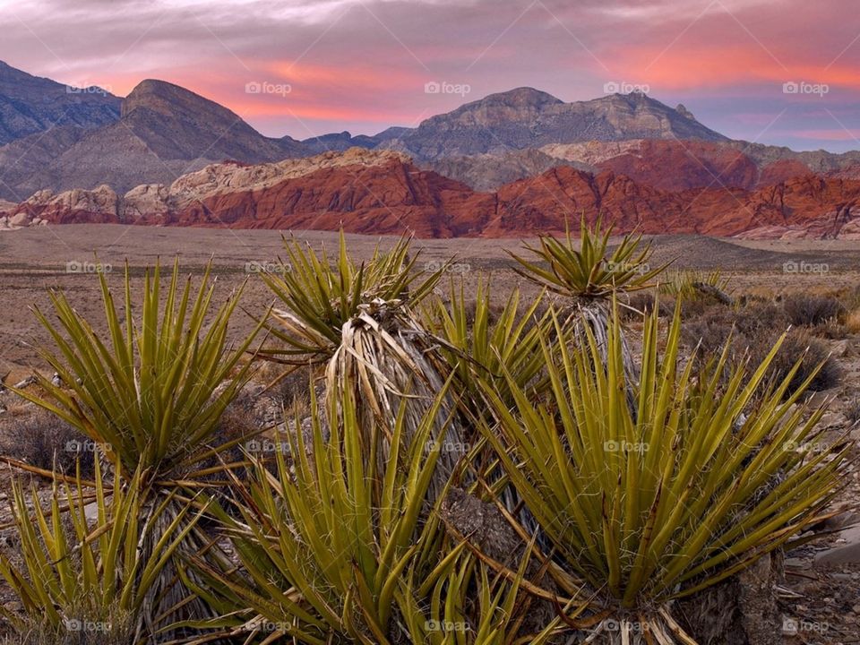 Sunset at Red Rock Canyon. Taking some photos of Red Rock Canyon and had to take this shot of the beautiful sunset.