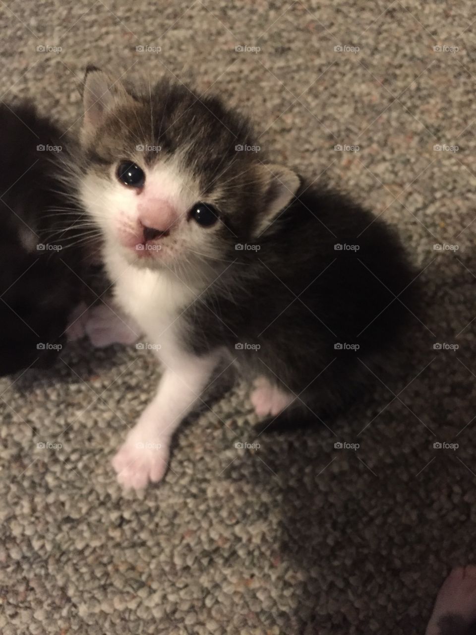 And you said that you wanted to give me away 