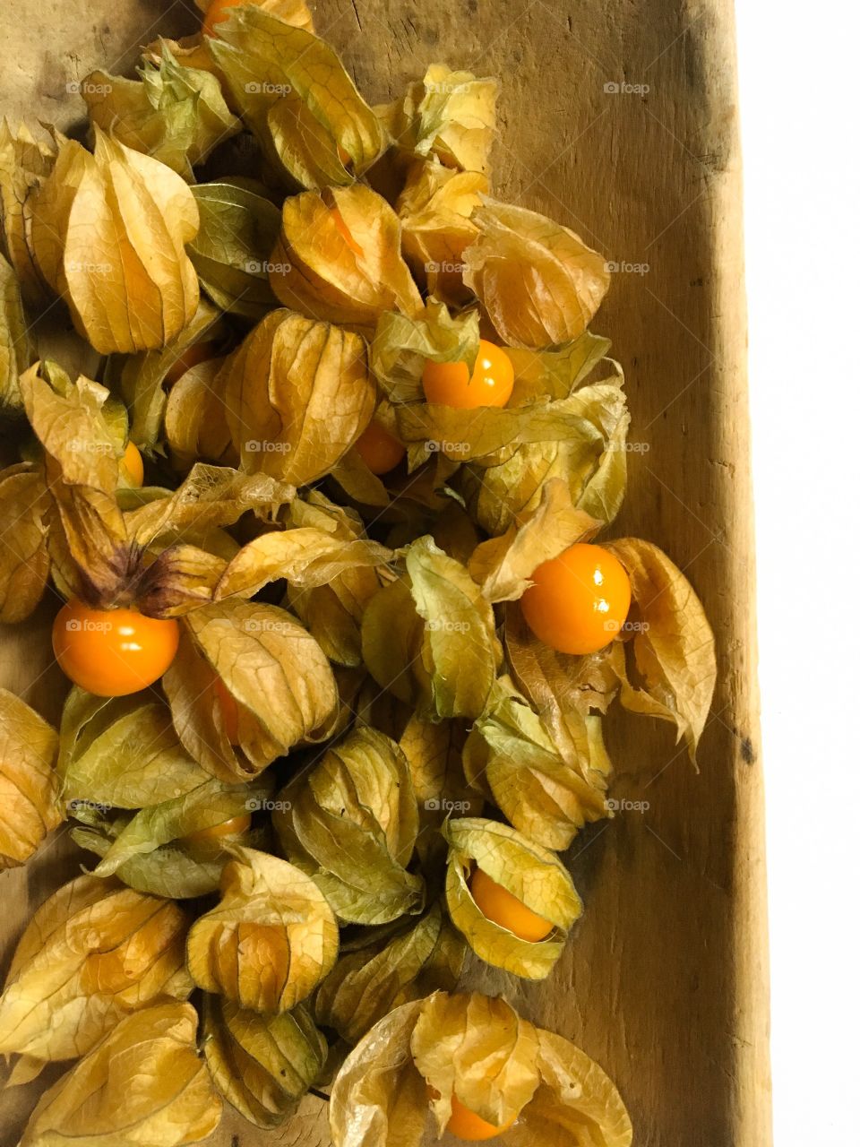 Close up of cape gooseberries, commonly referred to as physalis