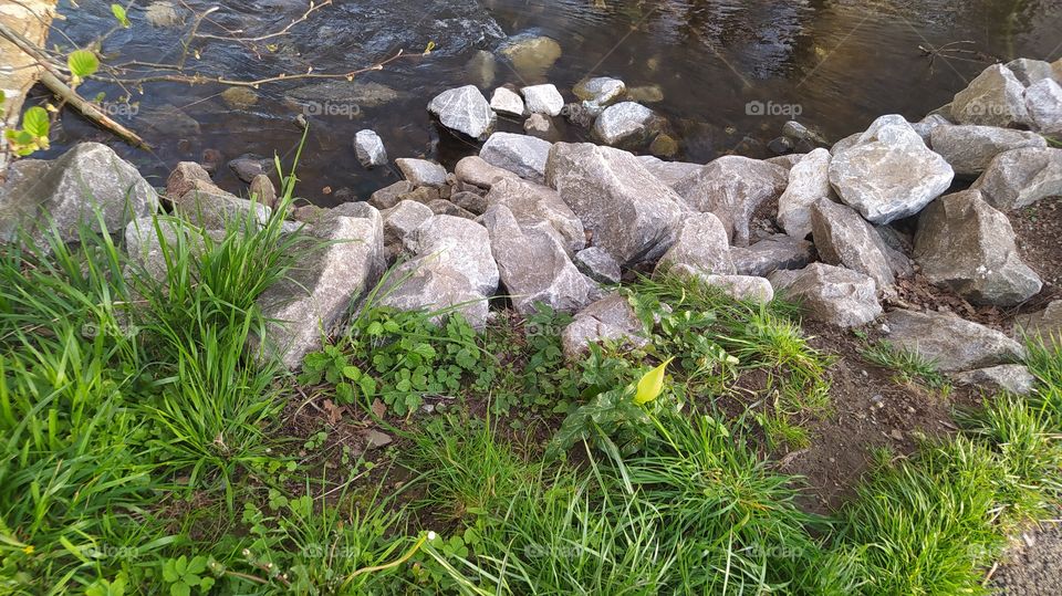 la naturaleza es vida