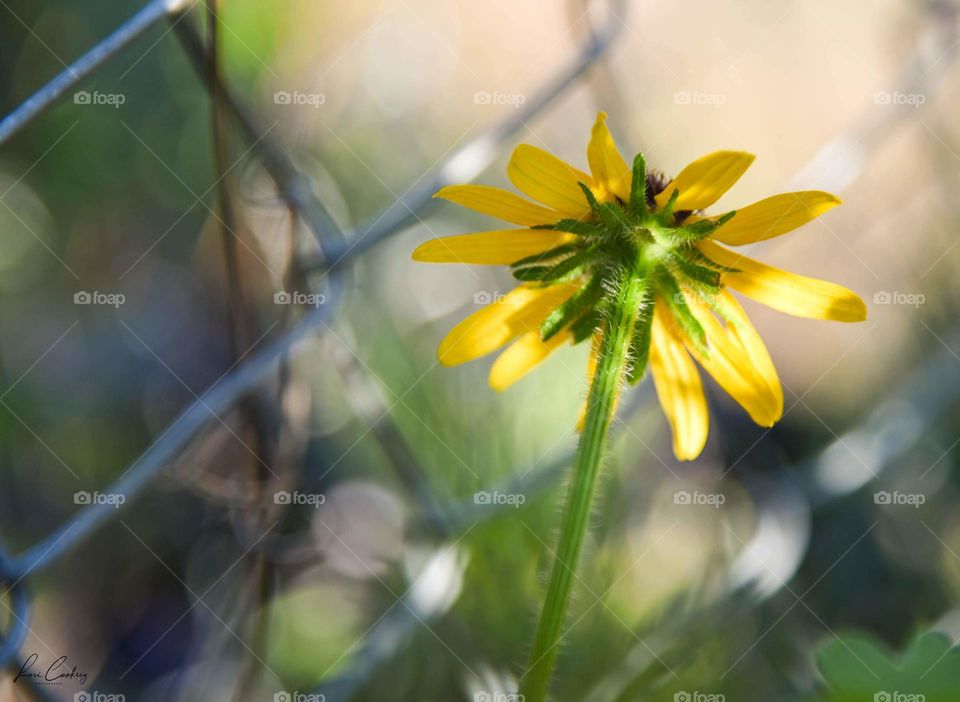 The Side Most Don’t See