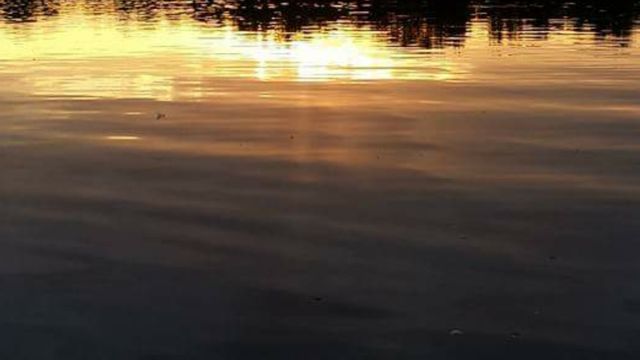 Water in motion
