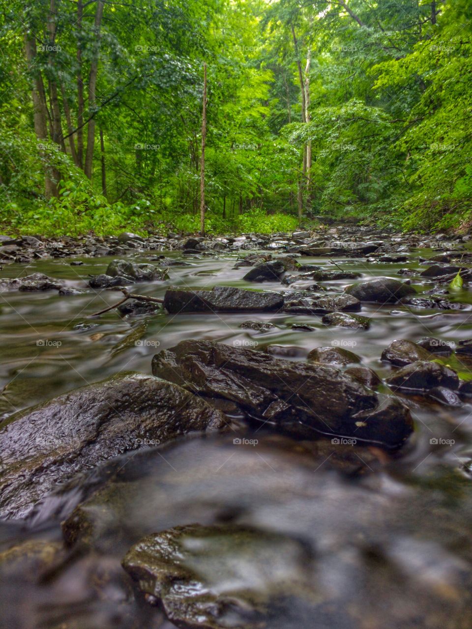 The water looked like tar. Long exposure of the stream made it look like tar. 