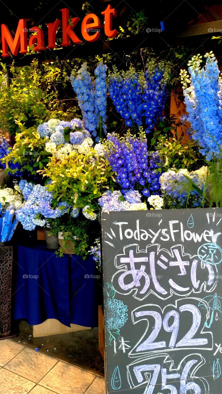 Hydrangea flower shop