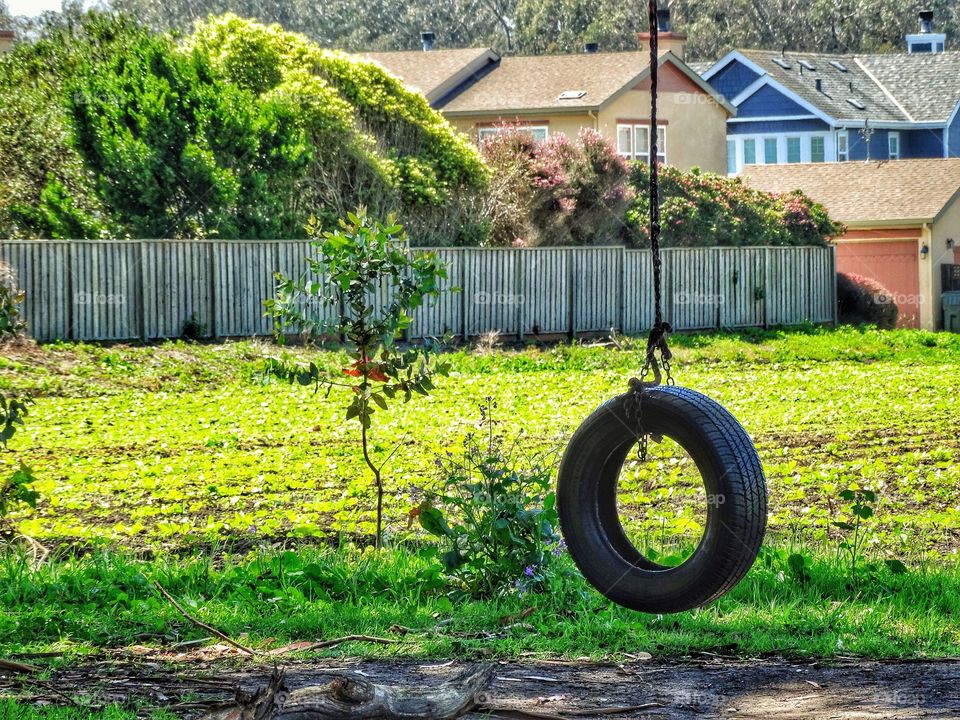 Tire Swing Set In An Urban Garden