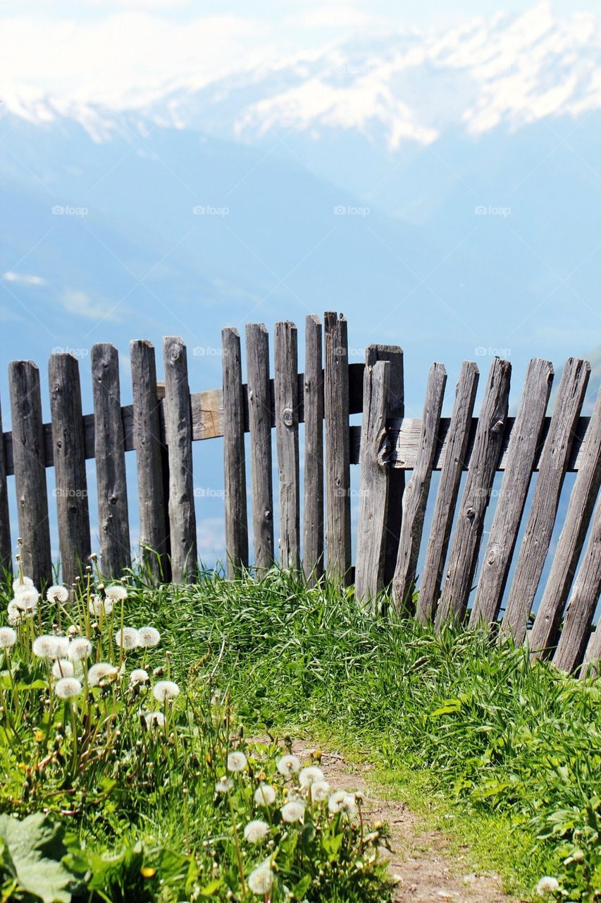 View of wooden post in alto adige