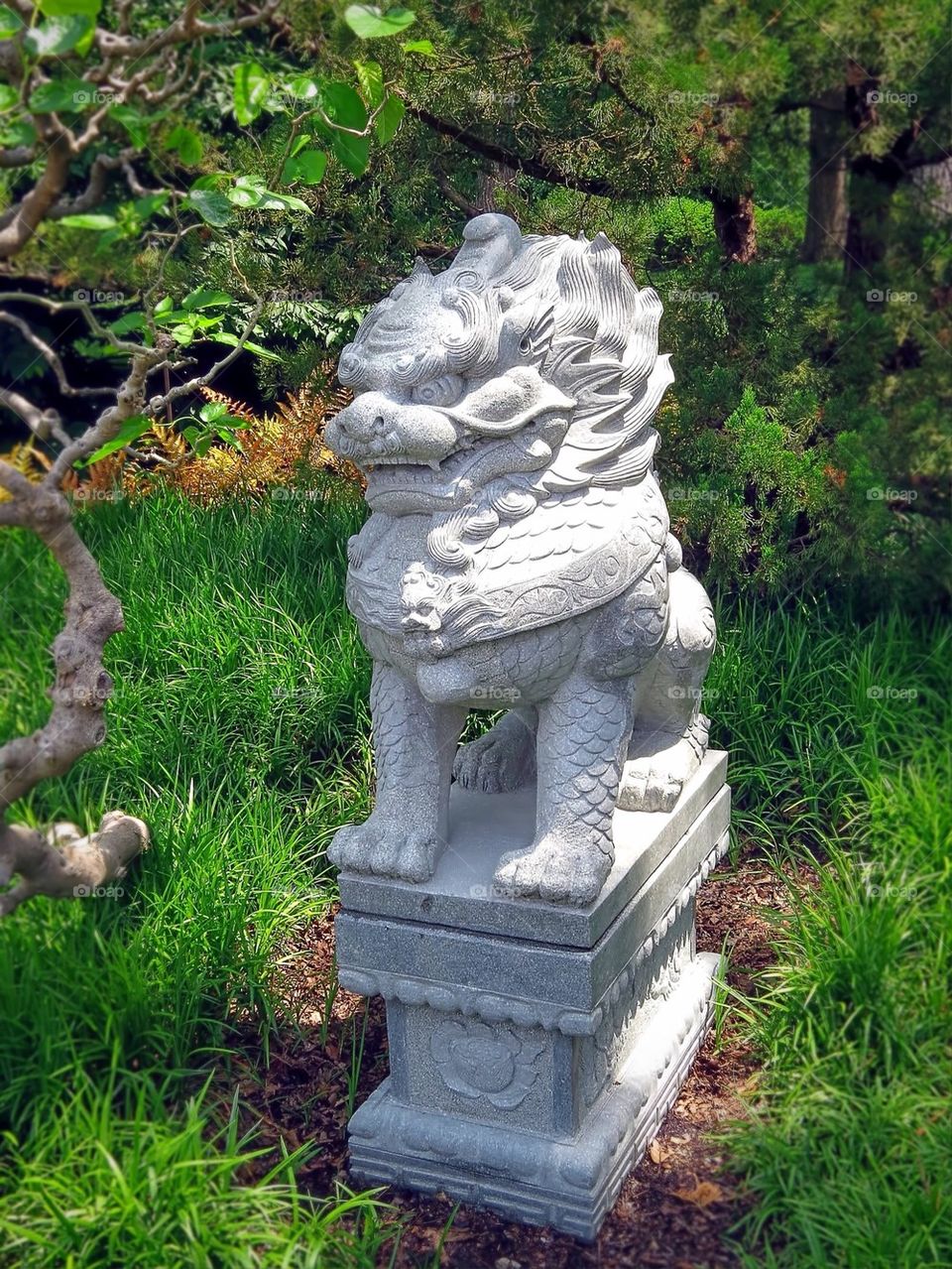 Foo Dog