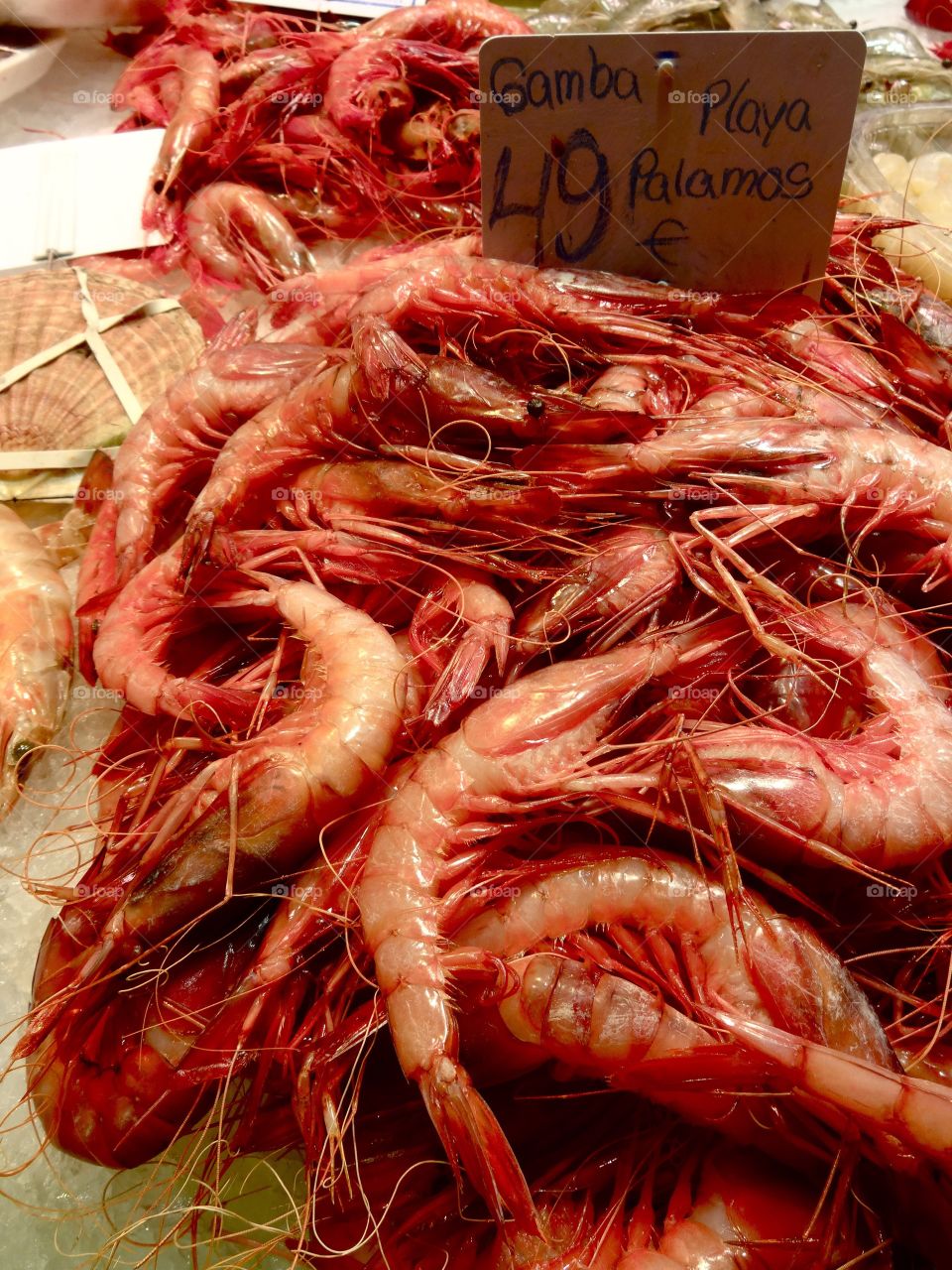 Gambas / shrimp in Spain 