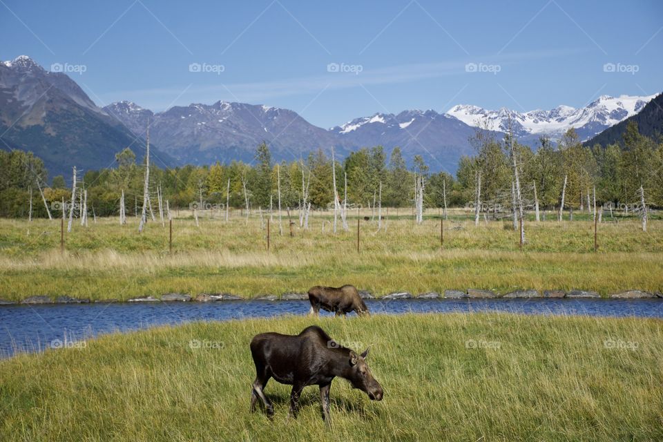 Scenic Alaska 