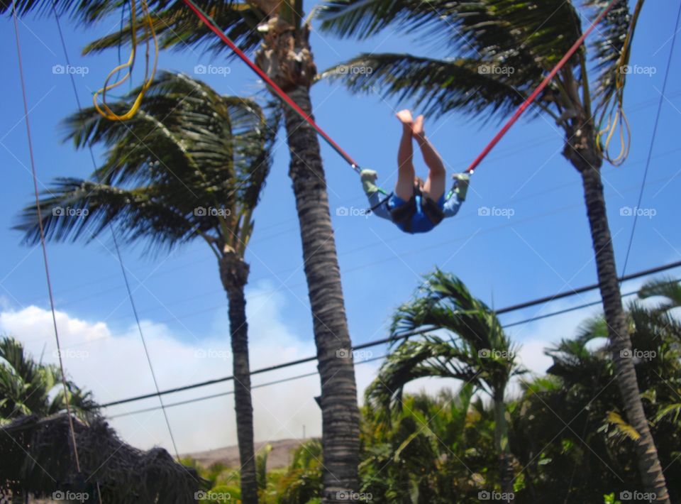 Boy On A Bungee Swing
