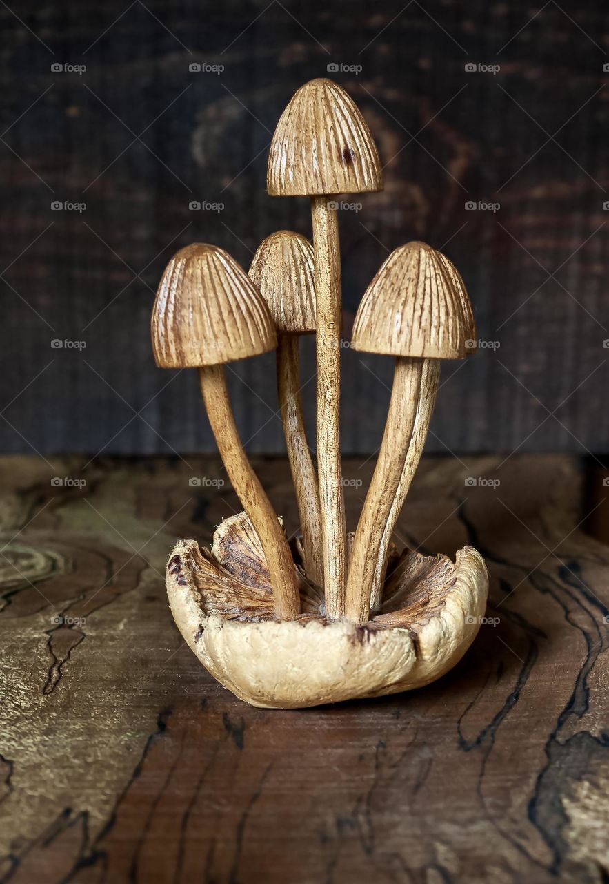 Carved wooden mushrooms against a background of different types of wood