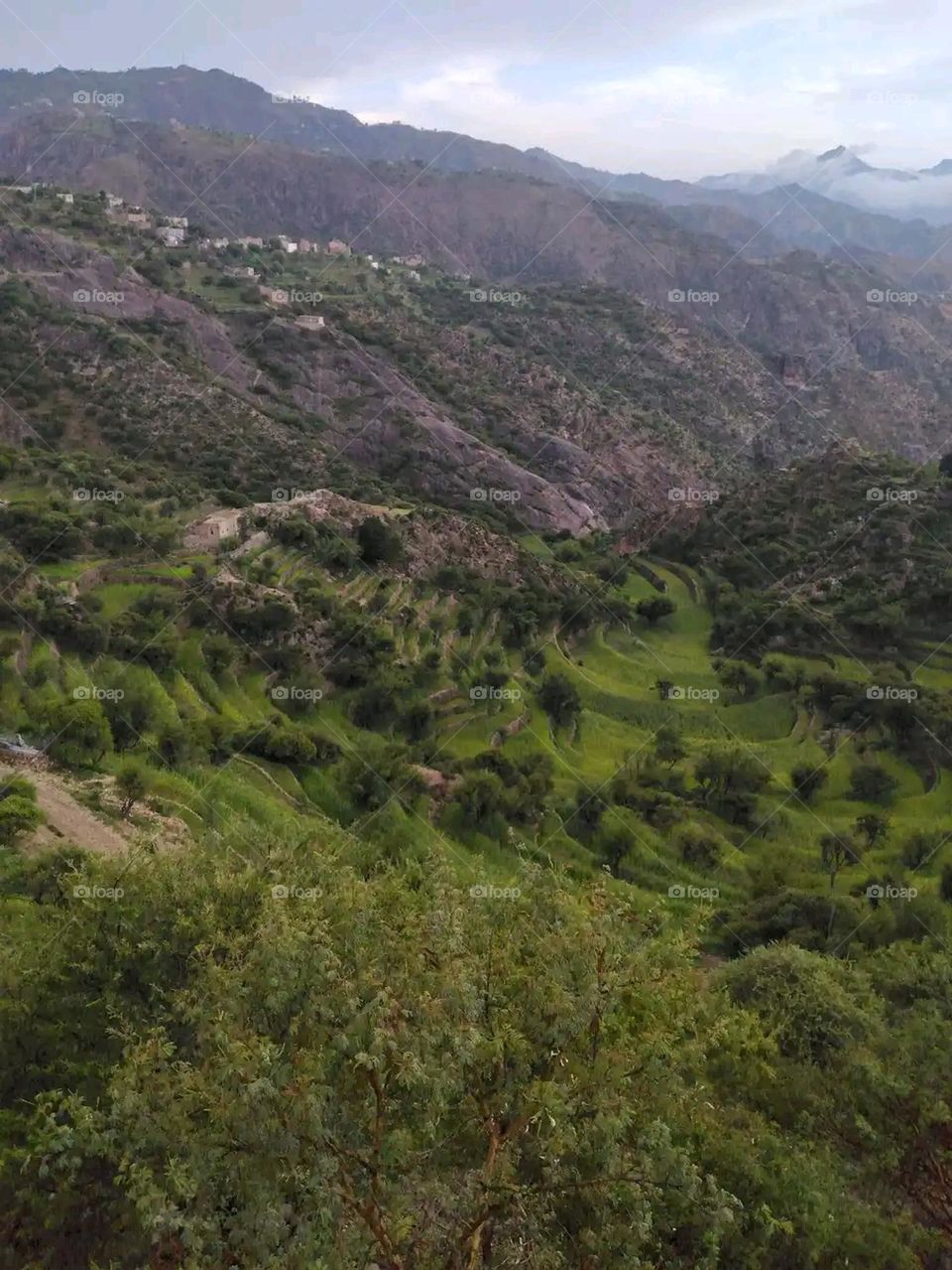Glory be to God, the magnificent and picturesque view and the natural green trees are a view that is nothing more wonderful than it