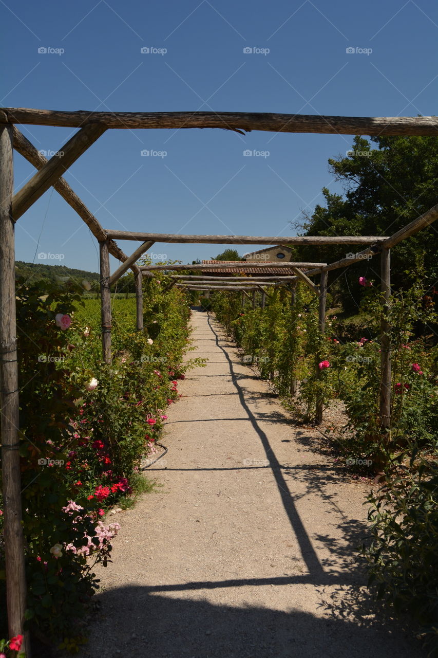 Flower walkway