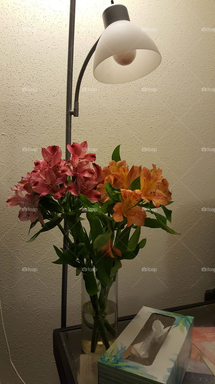 Lilies vase, lamp, tissue box, corner tablet