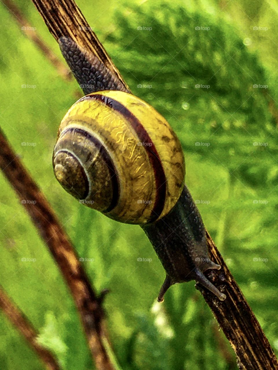 Making Progress Slowly 