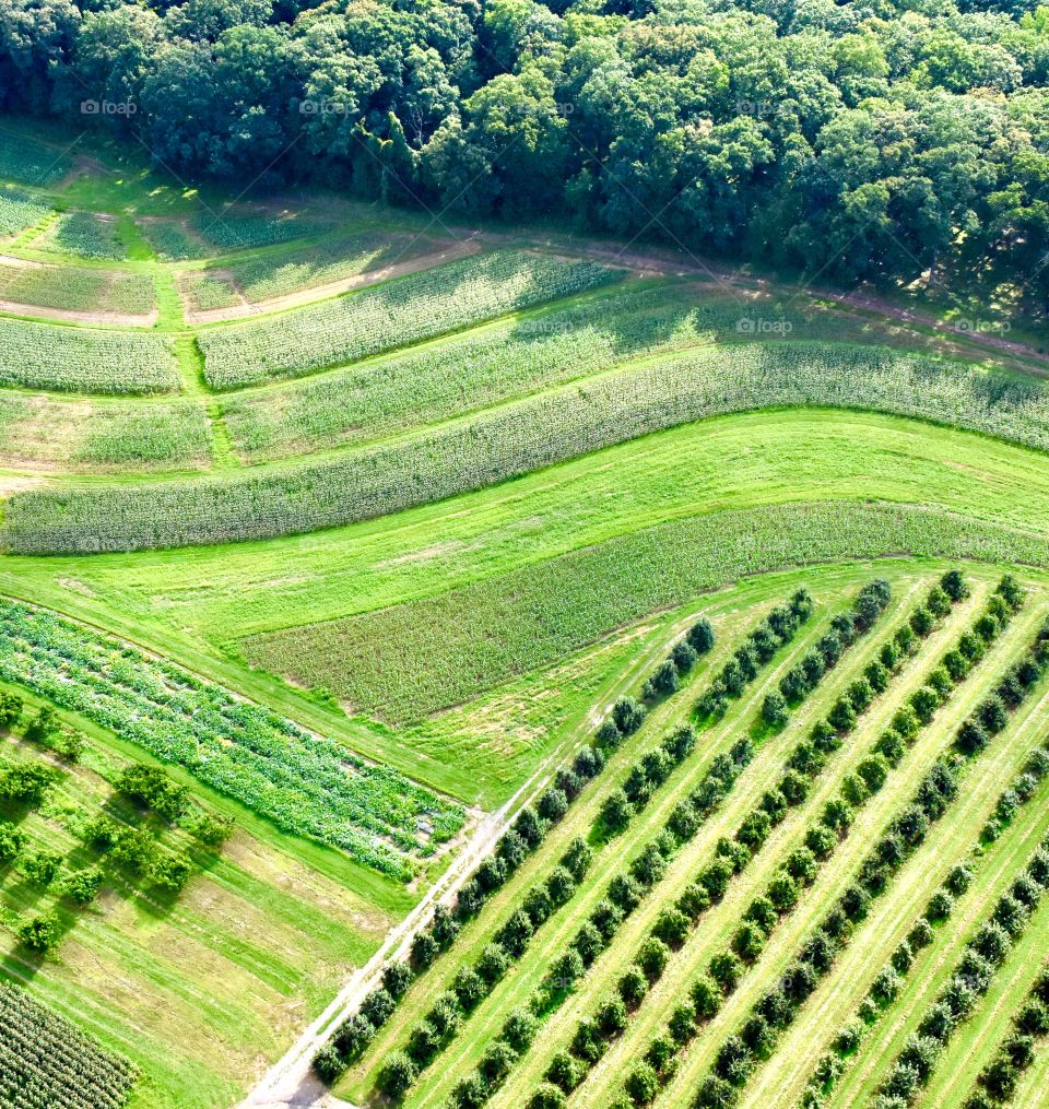 Green fields from above