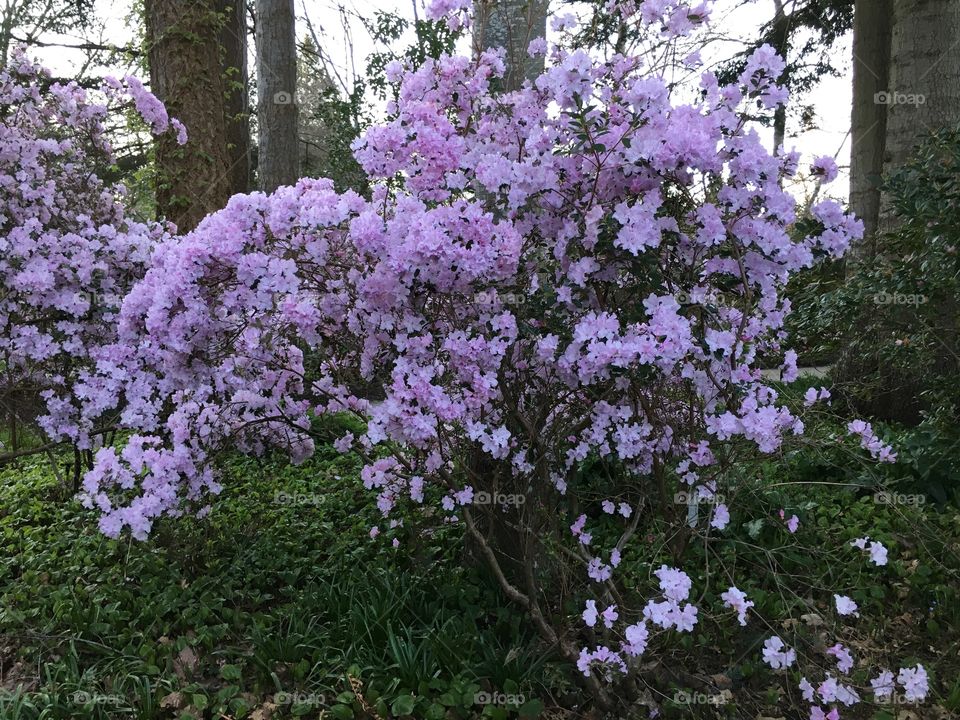 In the park