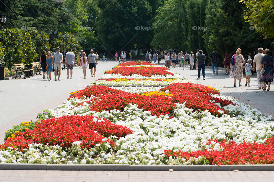 summer warm day city center People walk in a park in which bright flowers grow