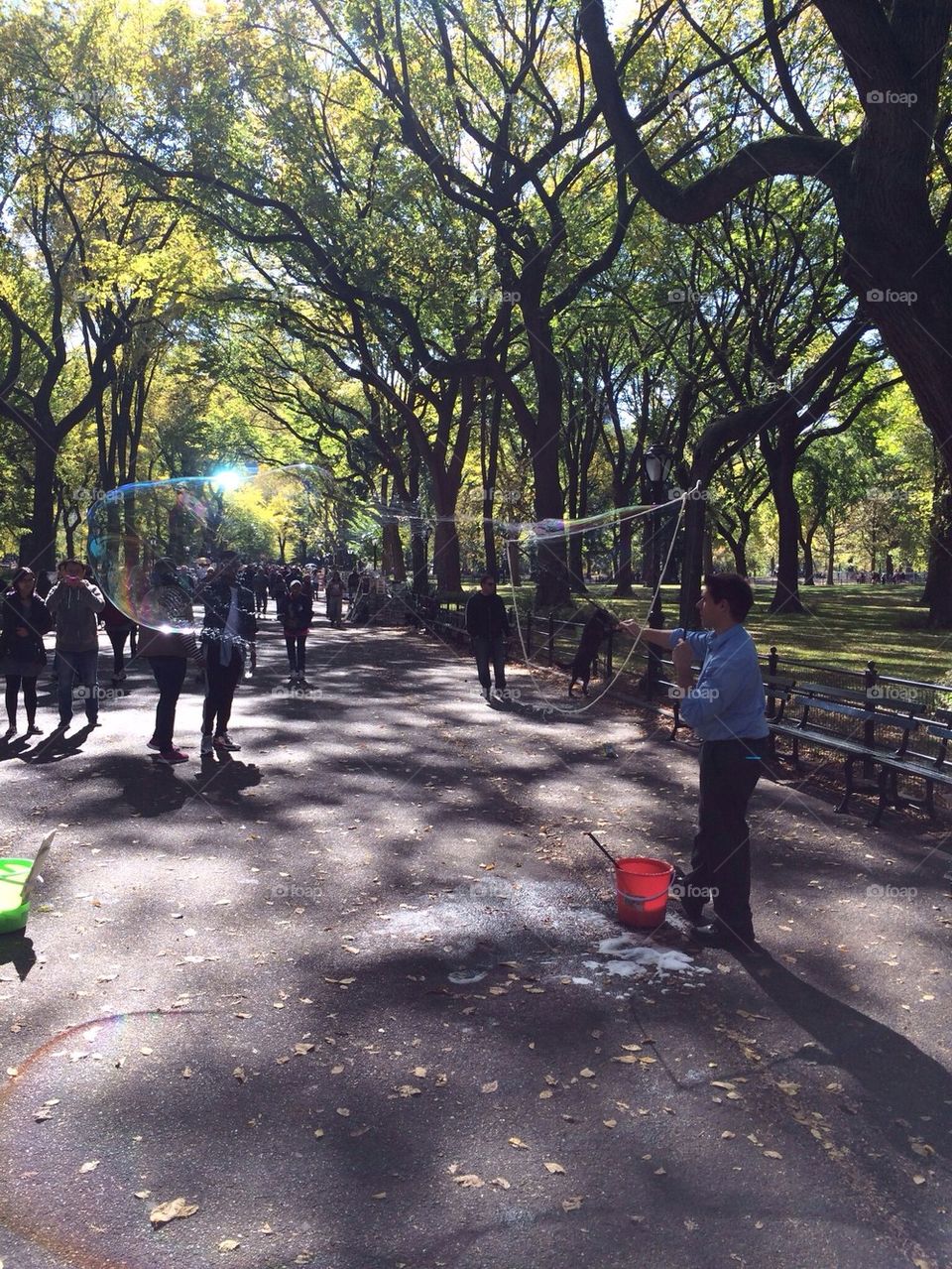 Bubble in the Park.