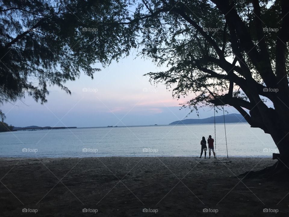 Tree, Landscape, Beach, Water, Sunset