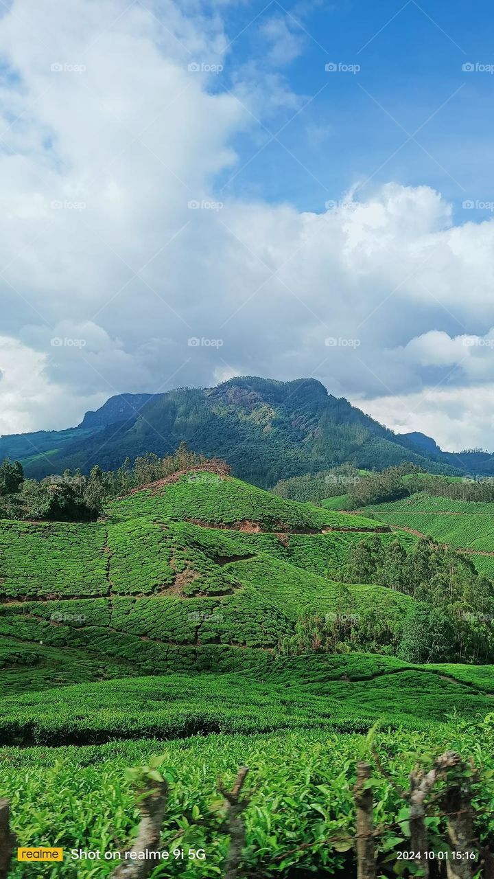 munnar